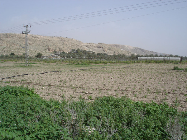 Сельское хозяйство в Иордании